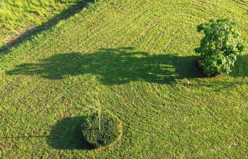 Why Regular Lawn Maintenance Supports Long-Term Curb Appeal