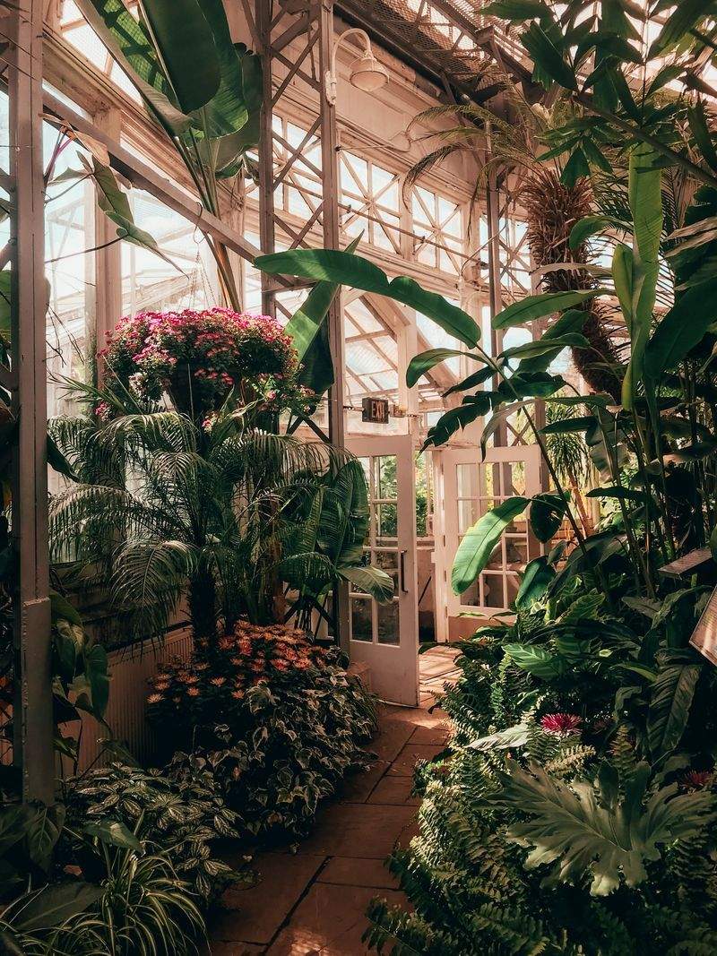Maple Leaf Garden & Landscape Co. 7