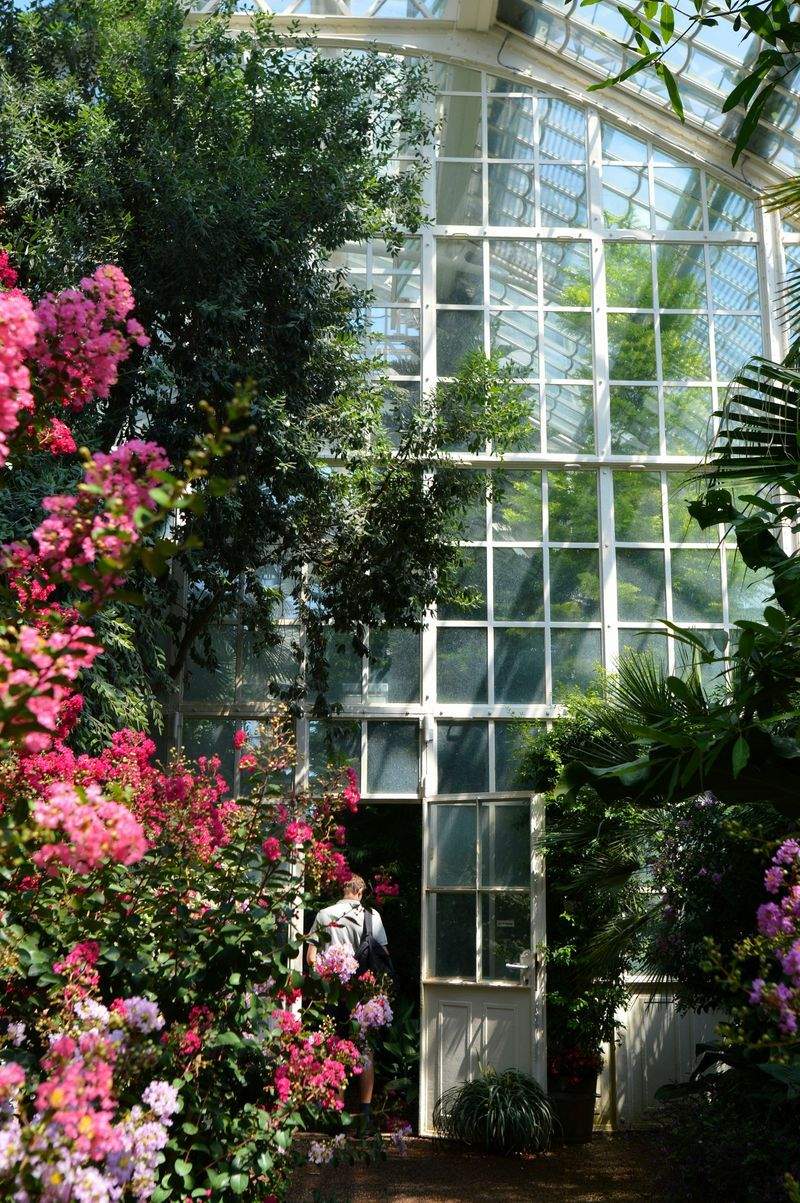 Weed control and bed maintenance